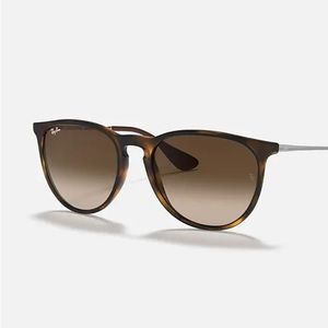 Ray Ban Erika Sunglasses